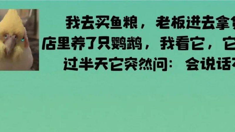 混合坚果炒货礼盒，如何挑选心仪之选？**